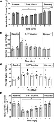 Reduction in Hindquarter Vascular Resistance Supports 5-HT7 Receptor Mediated Hypotension